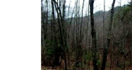 22 Trewit Lane Turtletown, TN 37391 - Image 7821128