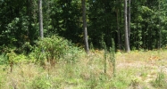 Tract C CR 7629 Brookland, AR 72417 - Image 7824129