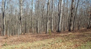 4106 Tanners Mill Road Braselton, GA 30517 - Image 7850480