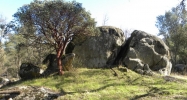 27.36 AC Buckeye Rd Mariposa, CA 95338 - Image 7867691