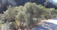 11202 Bull Creek Rd Mariposa, CA 95338 - Image 7867693