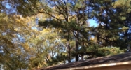 1228 W Jackson St Tupelo, MS 38801 - Image 7905612