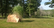 394 Perkins Rd Saint Clair, MO 63077 - Image 7926259
