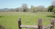 0 East Hill Rd Willits, CA 95490 - Image 7981796