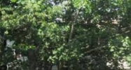 3815 Herbertsville Rd Point Pleasant Beach, NJ 08742 - Image 7991518