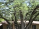 3111 Clawson Rd Austin, TX 78704 - Image 8002789