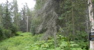 000 Teal Avenue Nikiski, AK 99635 - Image 8018928