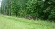 0 High Fall Road Jackson, GA 30233 - Image 8026855
