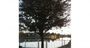 4819 SW 166 CT # 0 Miami, FL 33185 - Image 8037607