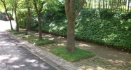 1563 Mason Mill Road Atlanta, GA 30329 - Image 8040460