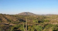 40204 N BRANGUS Road Scottsdale, AZ 85262 - Image 8064689