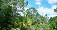 23336 Mayville Ave Port Charlotte, FL 33980 - Image 8070220