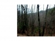 22 Trewit Lane Turtletown, TN 37391 - Image 8078170