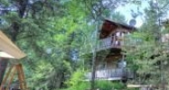 2350 S Colleen Palmer, AK 99645 - Image 8100757