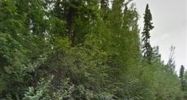nhn Chena Rose Court Lot 9 Fairbanks, AK 99709 - Image 8100852