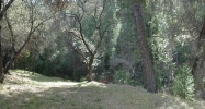 12955 Wells Fargo Dr Groveland, CA 95321 - Image 8105314