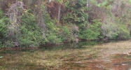 2277 Oyster Bay Lane 2202 Gulf Shores, AL 36542 - Image 8111202