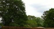 281 Polk Road 35 Hatfield, AR 71945 - Image 8117896