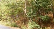 8/2 Baeza 17 Baeza Way Hot Springs Village, AR 71909 - Image 8120150