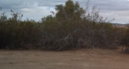 1 BUCKSHOT RD Yuma, AZ 85365 - Image 8130436