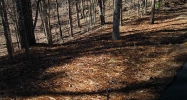 162 Lakewood Drive Waleska, GA 30183 - Image 8134989