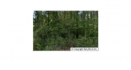 Lot 13 Davis Drive Gadsden, AL 35905 - Image 8143226