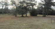 South Highway 85 Level Plains, AL 36322 - Image 8144844