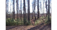 2818 Carson Garret Court Buford, GA 30519 - Image 8146059