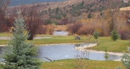 LOT 27, BLK 1, PALISADES CREEK Swan Valley, ID 83449 - Image 8151306