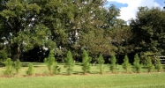 0 East County Road 54 #3 Daphne, AL 36526 - Image 8156573