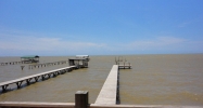 11623 County Road 1 Fairhope, AL 36532 - Image 8189494
