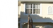 3169 SW 50TH ST # 3169 Fort Lauderdale, FL 33312 - Image 8191231