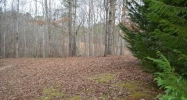 303 Mount Carmel Church Lane Canton, GA 30114 - Image 8193833