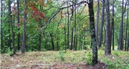0 Highland Lakes #0 Anniston, AL 36207 - Image 8202233