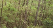 104 Havenwood Circle Daphne, AL 36526 - Image 8202900