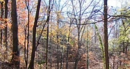 3244 Stillhouse Road Atlanta, GA 30339 - Image 8232200
