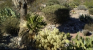 17052 E Cascade Drive Fountain Hills, AZ 85268 - Image 8244340