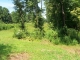 0 Wilburn Ferry Rd #7 Wedowee, AL 36278 - Image 8253880