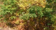 0 AL Hwy 21 Jacksonville, AL 36265 - Image 8268857