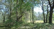 NE 51 Ave Melrose, FL 32666 - Image 8269101