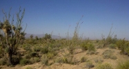 Lot 803 Kit Carson Rd Yucca, AZ 86438 - Image 8272160