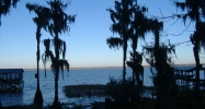 7929 NE 221st St Melrose, FL 32666 - Image 8279193