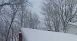 8913 Hendricks Rd - Image 8297651