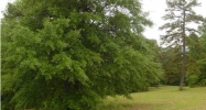 0 Leon Smith Parkway Oxford, AL 36203 - Image 8310934