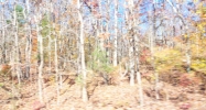 0 CR 273 Florence, AL 35630 - Image 8312943