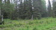 LB8 Cessna Street Nikiski, AK 99635 - Image 8323306
