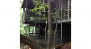 6146 Trout Lily Trail Jasper, GA 30143 - Image 8339306