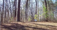 0 Mountain Creek Hollow Drive Talking Rock, GA 30175 - Image 8340095