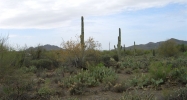 58xx Lone Mountain Road Cave Creek, AZ 85331 - Image 8340292