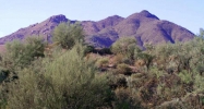 39400 N Ridgeway Rd 1 Cave Creek, AZ 85331 - Image 8340415